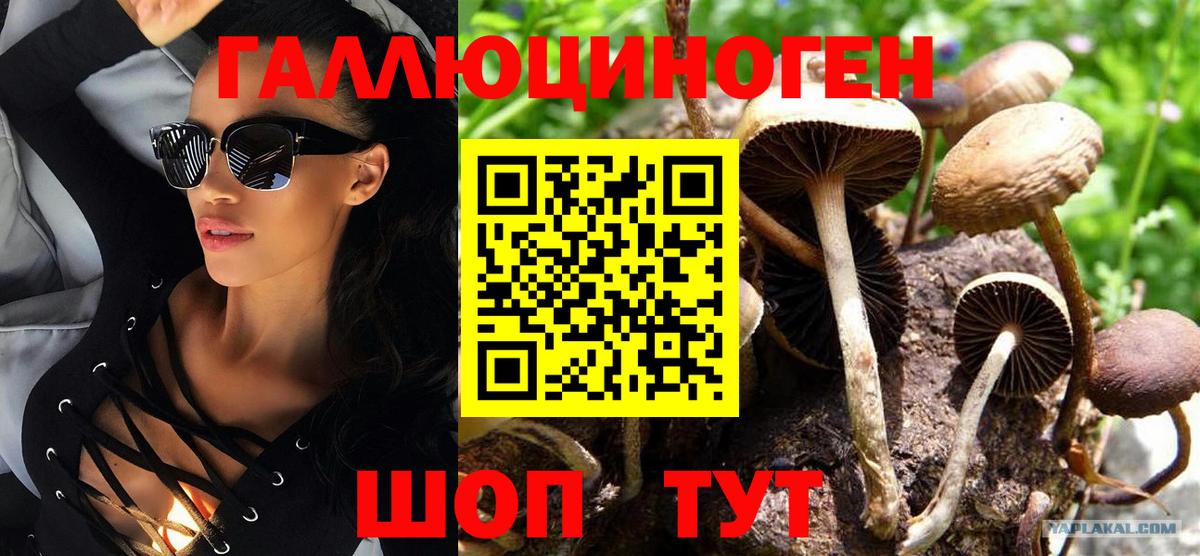 Псилоцибиновые грибы Psilocybine cubensis  Псилоцибиновые грибы ЛСД  Троицк  Вход с VPN 