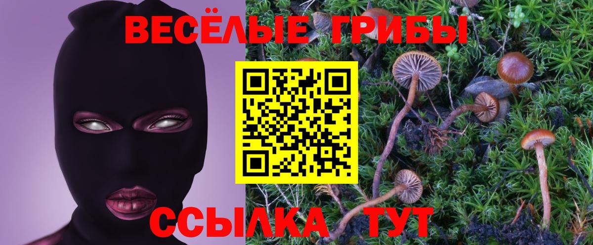 Галлюциногенные грибы Magic Shrooms Троицк